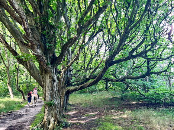 24-07-01 11-32-34 0058